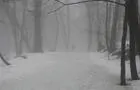 Sentier en hiver&nbsp;&nbsp;&nbsp;&copy; Ville de Westmount