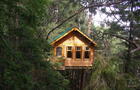 Hébergement maison dans arbres&nbsp;&nbsp;&nbsp;&copy; Parc Aventures Cap Jaseux