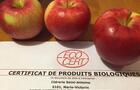 La certification biologique