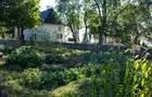 Potager&nbsp;&nbsp;&nbsp;&copy; P.Lahoud
