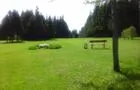 Terrain