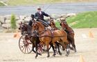 International d'attelage Bromont © International d'attelage Bromont