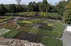 Jardin 2M © L.Boileau