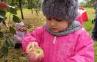 Enfant dans le verger