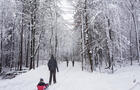 Les sentiers du boisé du parc des Moulins&nbsp;&nbsp;&nbsp;&copy; CCNQ/J-P.Labrie