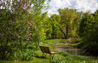 Petit banc - Jardin des lilas © Oli Croteau