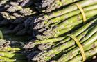 Asperges&nbsp;&nbsp;&nbsp;&copy; J.Messier
