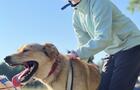 Cani-Kart2&nbsp;&nbsp;&nbsp;&copy; Les Aventures Liguoriennes