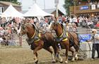 Grande tire de chevaux