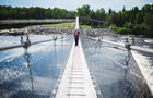 ParcRegionalGrandesRivières_Saguenay_Pont © PR des Grandes-Rivières du lac Saint-Jean