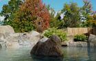 Automne