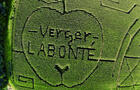 Labyrinthe de maïs © Verger Labonté