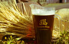 Orge et bière&nbsp;&nbsp;&nbsp;&copy; framptonbrasse