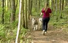 PRGC_chien © Isabelle de Blois