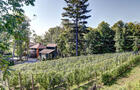 Vignoble © DOMAINE DES 3 MOULINS