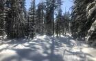 Réseau de ski de fond © D.Charbonneau