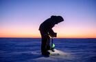 26022021-SPEC_Hiver_DDR-3&nbsp;&nbsp;&nbsp;&copy; Charles D