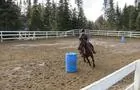 Équitation&nbsp;&nbsp;&nbsp;&copy; Ranch Ladouceur