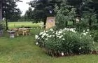 Jardin de grand-mère © C.Montminy