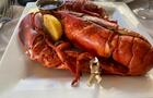 Homard © Gaspésiana