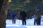 Ski de fond © Colonie des grèves de Contrecoeur