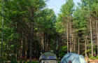 Clairière © Camping Larochelle