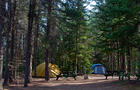 Site boisé tentes © Camping Larochelle