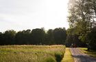 Champ fleuri&nbsp;&nbsp;&nbsp;&copy; Charles et Annie Photographie