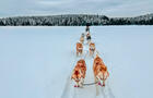 Traineau à chien © Tourisme Mauricie, J-G.Pothier