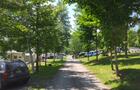 Rue des Grenouilles&nbsp;&nbsp;&nbsp;&copy; Vincent Nadeau