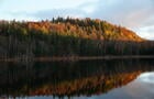 L'automne au bord du Lac © J.B.May