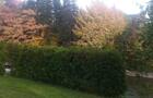 En automne