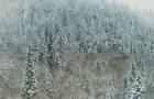 La Haute-Mauricie