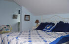 GÎTE AUX PETITS OISEAUX B&B