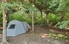 emplacement foret&nbsp;&nbsp;&nbsp;&copy; Tendaro