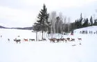 Une faune incroyable © A.Lefebvre