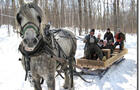 Randonnée en traineau à cheval