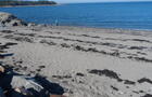 Accès direct à la plage