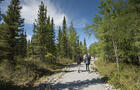 Sentier vers le belvédère © Hydro-Québec