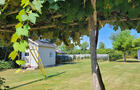 Vignoble © R.Barbieri