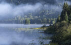Paysage brume, Laurentides © Fabienne Mace