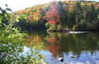 Automne et vue sur l'île