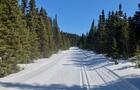 Piste&nbsp;&nbsp;&nbsp;&copy; J.Delagrave