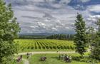 À vélo au vignoble Léon Courville, vigneron&nbsp;&nbsp;&nbsp;&copy; CLD Brome-Missisquoi