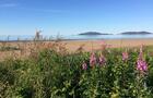 Vue sur les iles de Sept-Iles © L.Levesque