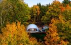 Automne&nbsp;&nbsp;&nbsp;&copy; Citizen North