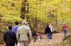 Bois Beckett&nbsp;&nbsp;&nbsp;&copy; Destination Sherbrooke