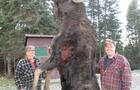 Chasse de l'orignal © SBGF inc. (Zec Jaro)