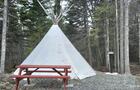 20241110_154952 © tipi