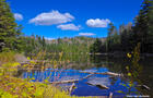 Sentier Mud Pond&nbsp;&nbsp;&nbsp;&copy; Parc d'environnement naturel de Sutton